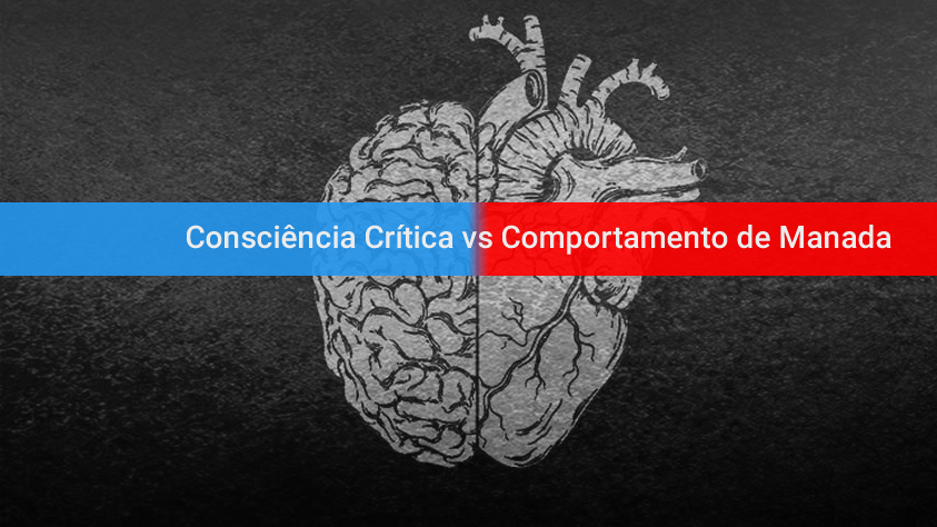 Consciência Crítica vs Comportamento de Manada