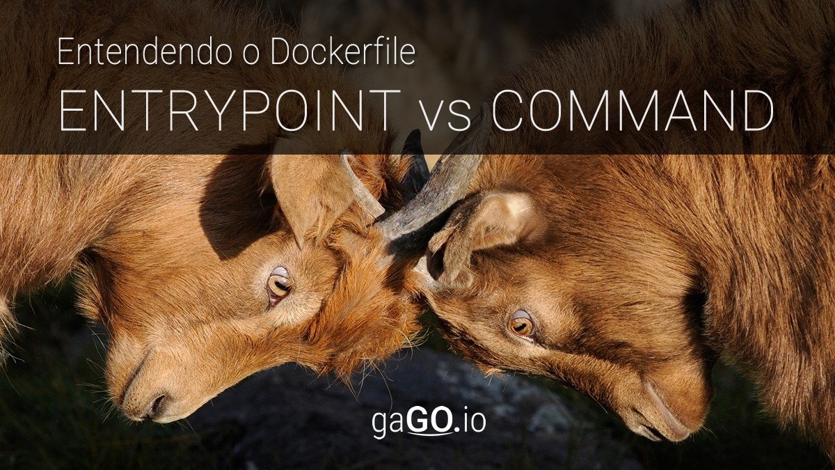 Dockerfiles: Entrypoint vs CMD?